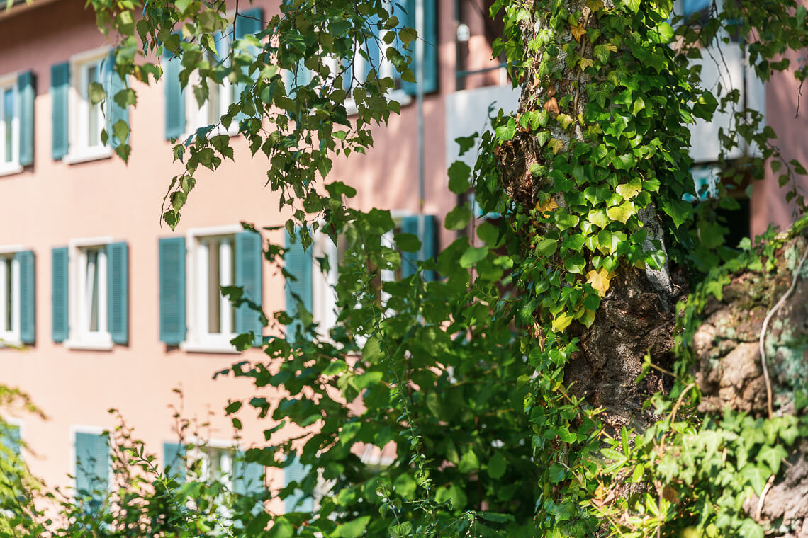 Luzern-Weinberglistrasse 74-84_-web-6.jpg